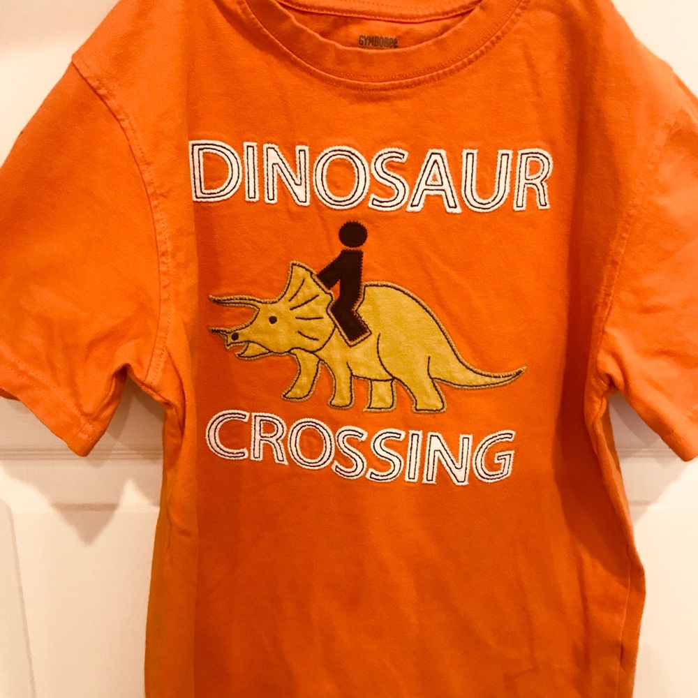 Gymboree Dinosaur Shirt Old Navy Shorts Boy 8